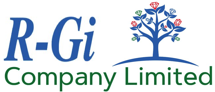 R-Gi Company ltd
